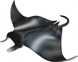 M+B 13007 - Manta Ray