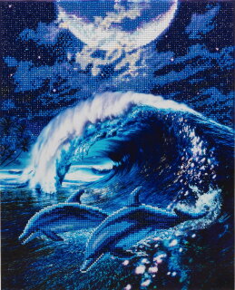 Craft Buddy CAK-AC2 - Framed Crystal Art Kit Portrait - Moonlight Tryst Dolphins