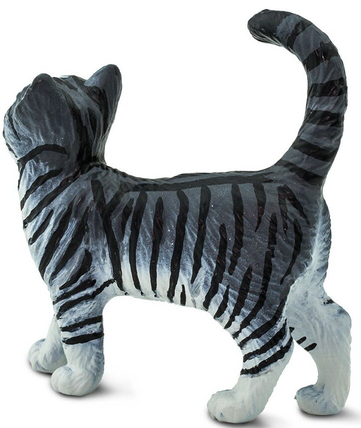 Best in Show Tabby Cat Safari Ltd Animal Educational Kids Toy Figure 
