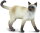 Safari Ltd. 100061 - Siamkatze