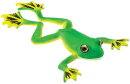 Safari Ltd. 100259 - Flying Tree Frog - XL