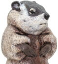 Safari Ltd. 100118 - Groundhog - XL