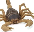 Safari Ltd. 100260 - Scorpion - XL