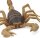 Safari Ltd. 100260 - Scorpion - XL