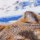 Craft Buddy CAK-CH2 - Framed Crystal Art Kit Portrait - The Sentinel by Claudia Hahn