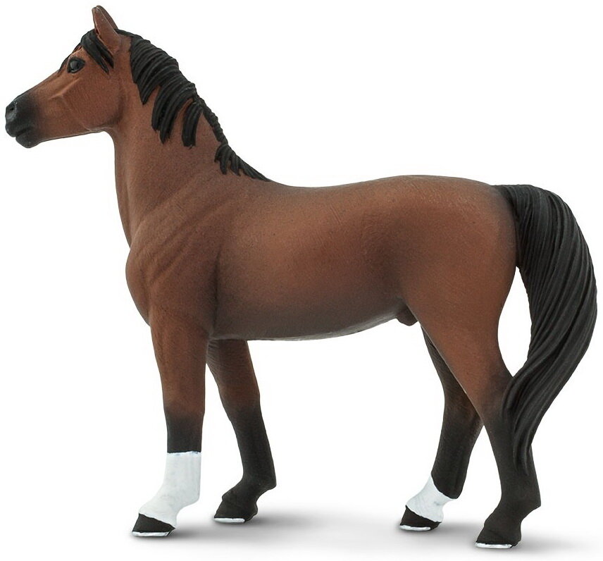 Winner's Circle Horses Morgan Stallion Safari Ltd Animal Educational Toy Figure for sale online