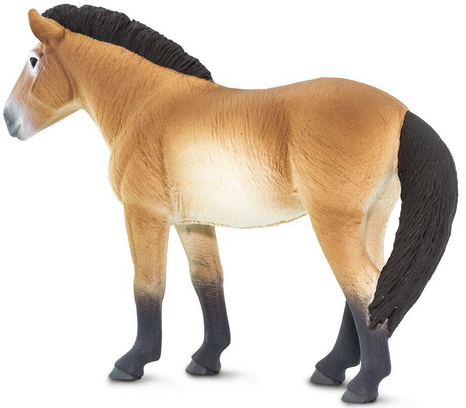 FJORD Horse 152705 ~ NEW for 2017 ~ FREE SHIP w/ $25+ SAFARI Products Ltd 