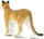 Safari Ltd. 100105 - Florida - Puma