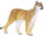 Safari Ltd. 100105 - Florida - Puma