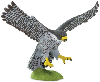 Safari Ltd. 100094 - Wanderfalke