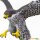 Safari Ltd. 100094 - Wanderfalke
