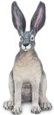 Safari Ltd. 182029 - Amerikanischer Wüstenhase