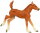 Southlands Replicas SR00015 - Brumby Fohlen