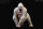 REBOR 160604 - 1:11±1 Alpha Male Mountain Gorilla " GORILLA Z" Albino *1