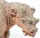 Safari Ltd. 100087 - Uintatherium