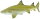 Safari Ltd. 100097 - Lemon Shark