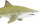 Safari Ltd. 100097 - Lemon Shark