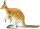 Safari Ltd. 100108 - Känguru mit Joey (Jungtier)