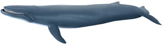 Papo 56037 - Blauwal