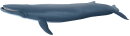 Papo 56037 - Blue Whale