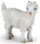 Papo 51171 - Young Angora Goat