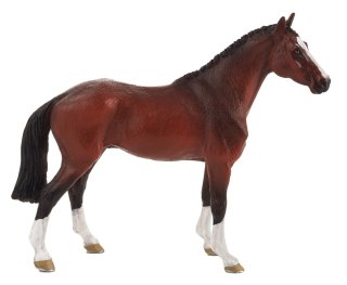 Mojö 387294 - Dutch Warmblood (KWPN)