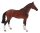 Mojö 387294 - Dutch Warmblood (KWPN)