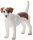 Mojö 387286 - Jack Russell Terrier