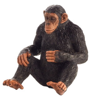 Mojö 387265 - Chimpanzee