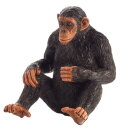 Mojö 387265 - Chimpanzee