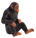 Mojö 387265 - Chimpanzee