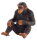 Mojö 387265 - Chimpanzee