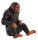 Mojö 387265 - Chimpanzee
