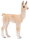 Mojö 387392 - Llama Baby