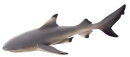 Mojö 387357 - Black Tip Reef Shark