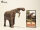 EoFauna 005 - Deinotherium giganteum