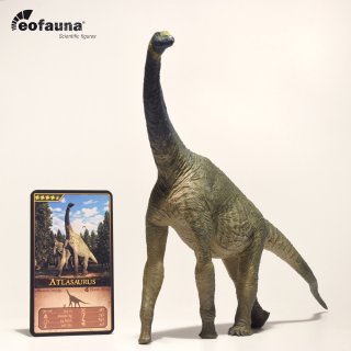 EoFauna 004 - (1:40) Atlasaurus