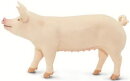 Safari Ltd. 100269 - Yorkshire-Schwein (Large-White)