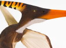 Safari Ltd. 100301 - Pteranodon