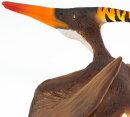 Safari Ltd. 100301 - Pteranodon