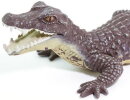 Safari Ltd. 100238 - Kaiman