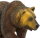 Safari Ltd. 100274 - Grizzly Bär