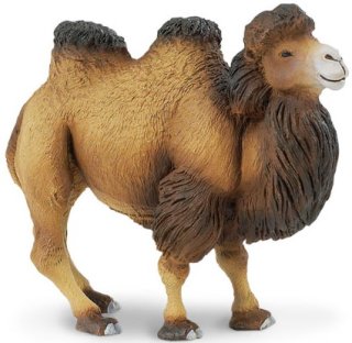 Safari Ltd. 290929 - Trampeltier (Kamel)