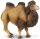 Safari Ltd. 290929 - Trampeltier (Kamel)