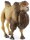 Safari Ltd. 290929 - Trampeltier (Kamel)