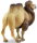 Safari Ltd. 290929 - Trampeltier (Kamel)