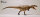 EoFauna 003 - Giganotosaurus