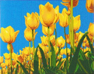 Craft Buddy CAK-A89 - Framed Crystal Art Kit Landscape - Spring Tulips