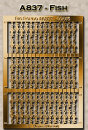 Rio Rondo Traditional (1:9) A837g - Mawari Tack...