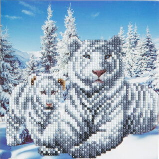 Craft Buddy CCK-A8 - Crystal Card Kit Snowy White Tigers